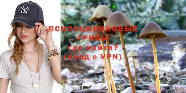 mix Абаза